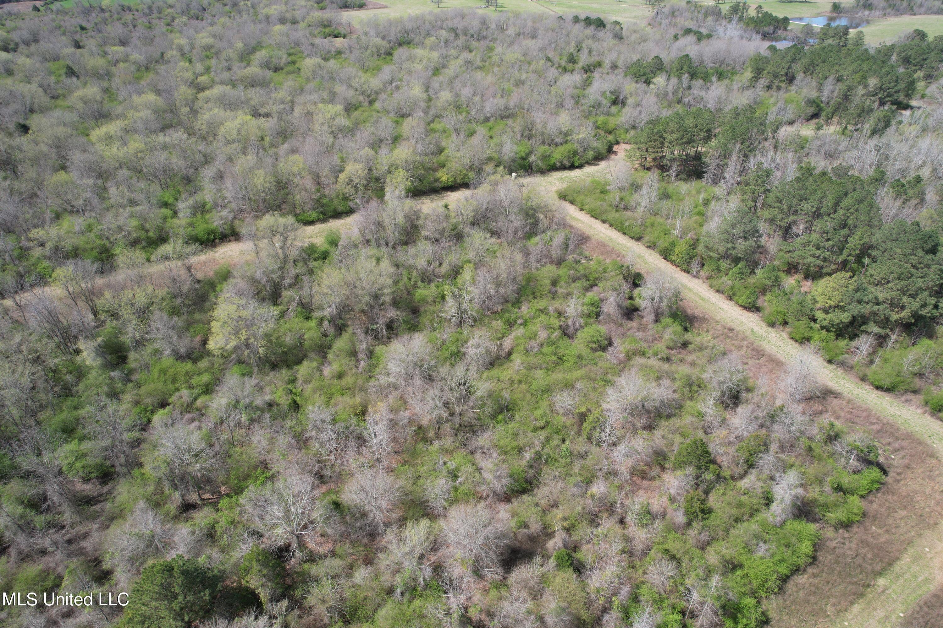 107 Co Road Pachuta, MS 39347 - Photo 49 of 107 DJI_0027