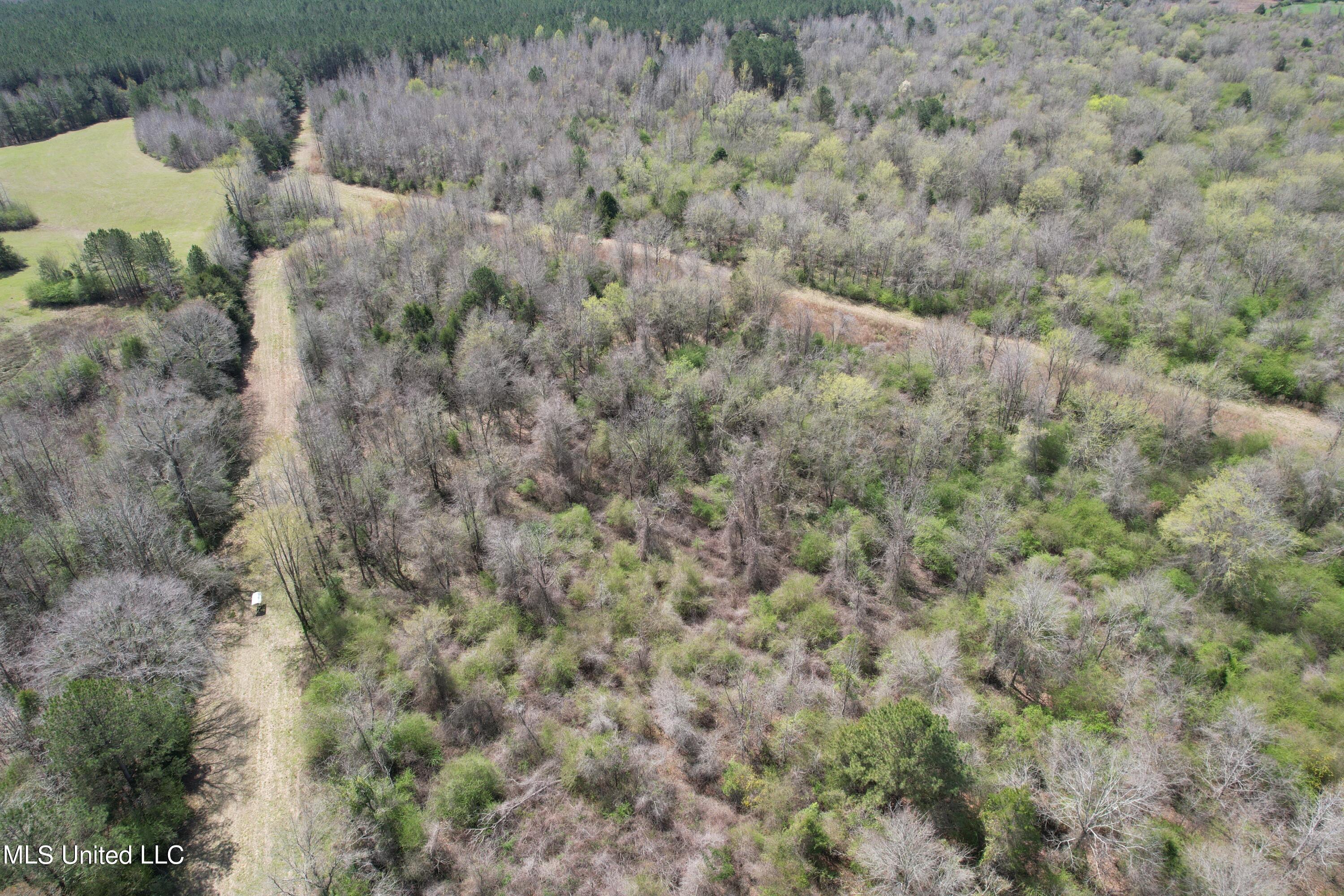 107 Co Road Pachuta, MS 39347 - Photo 50 of 107 DJI_0028