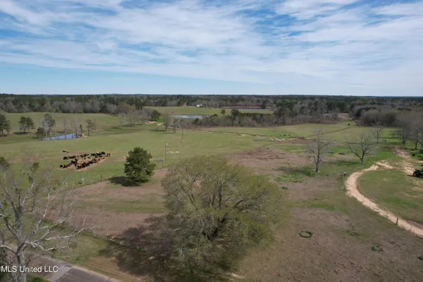 $1,400,000 | 107 Co Road, Pachuta, MS 39347