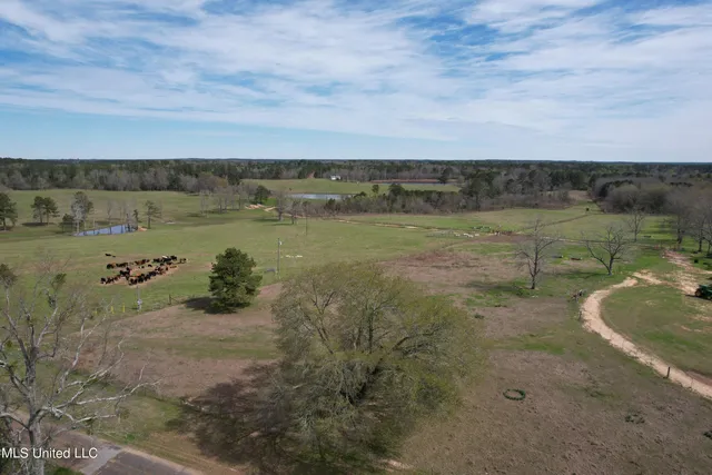 $1,699,000 | 107 Co Road, Pachuta, MS 39347