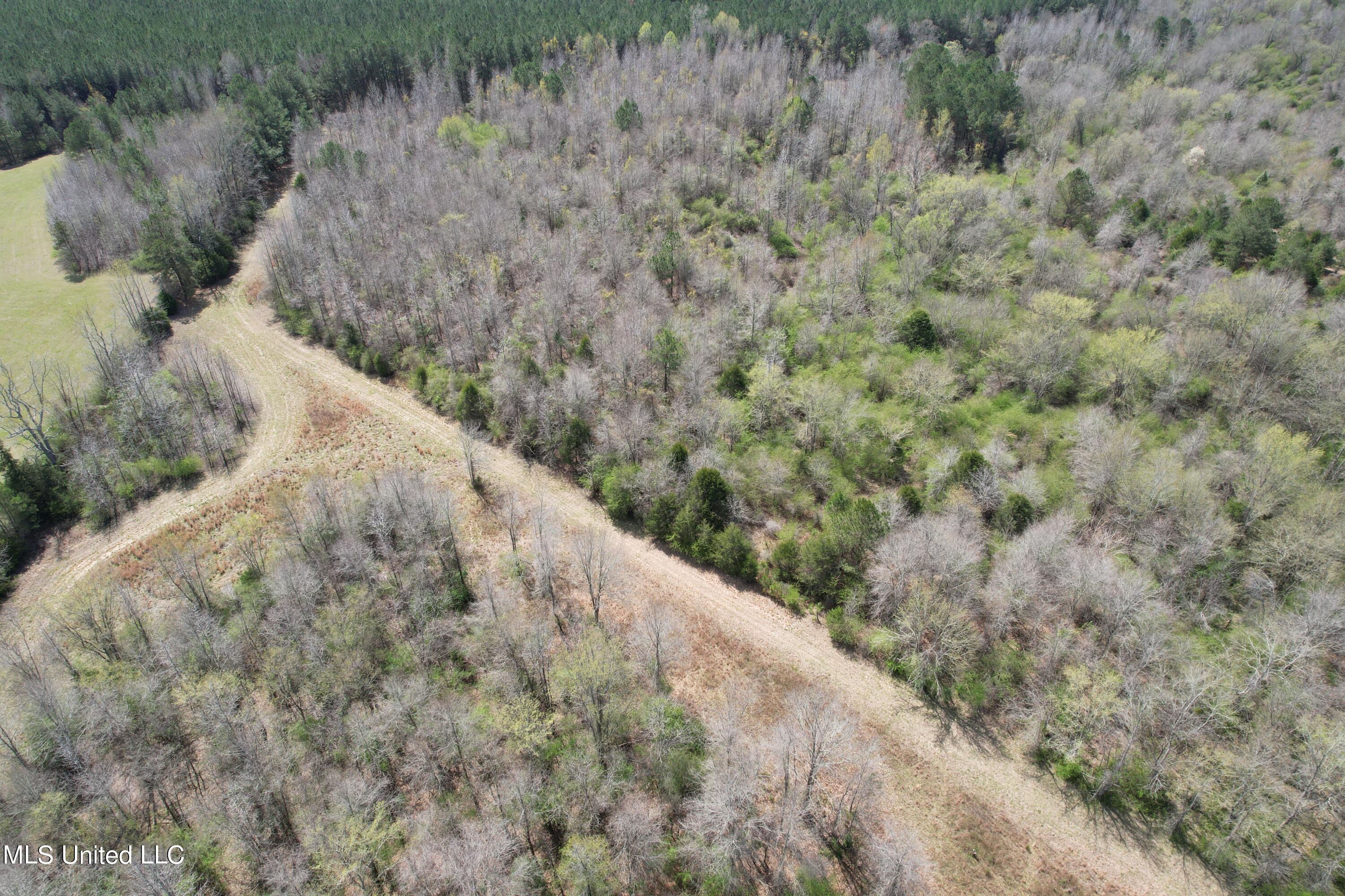 107 Co Road Pachuta, MS 39347 - Photo 51 of 107 DJI_0030