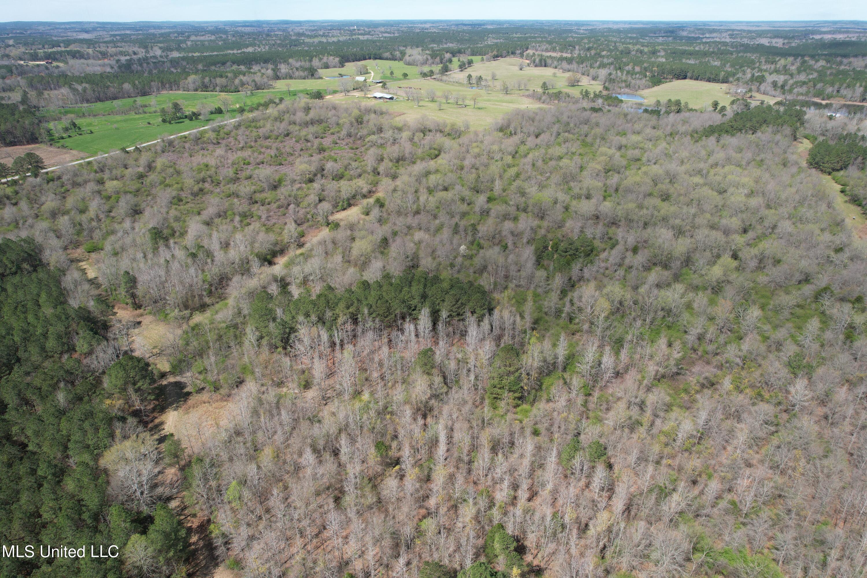 107 Co Road Pachuta, MS 39347 - Photo 52 of 107 DJI_0031