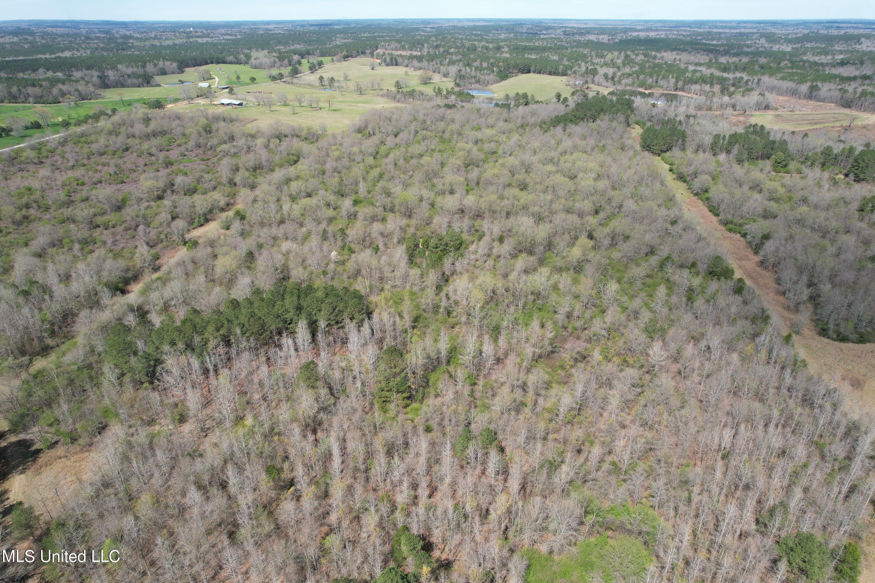 107 Co Road Pachuta, MS 39347 - Photo 53 of 107 DJI_0032