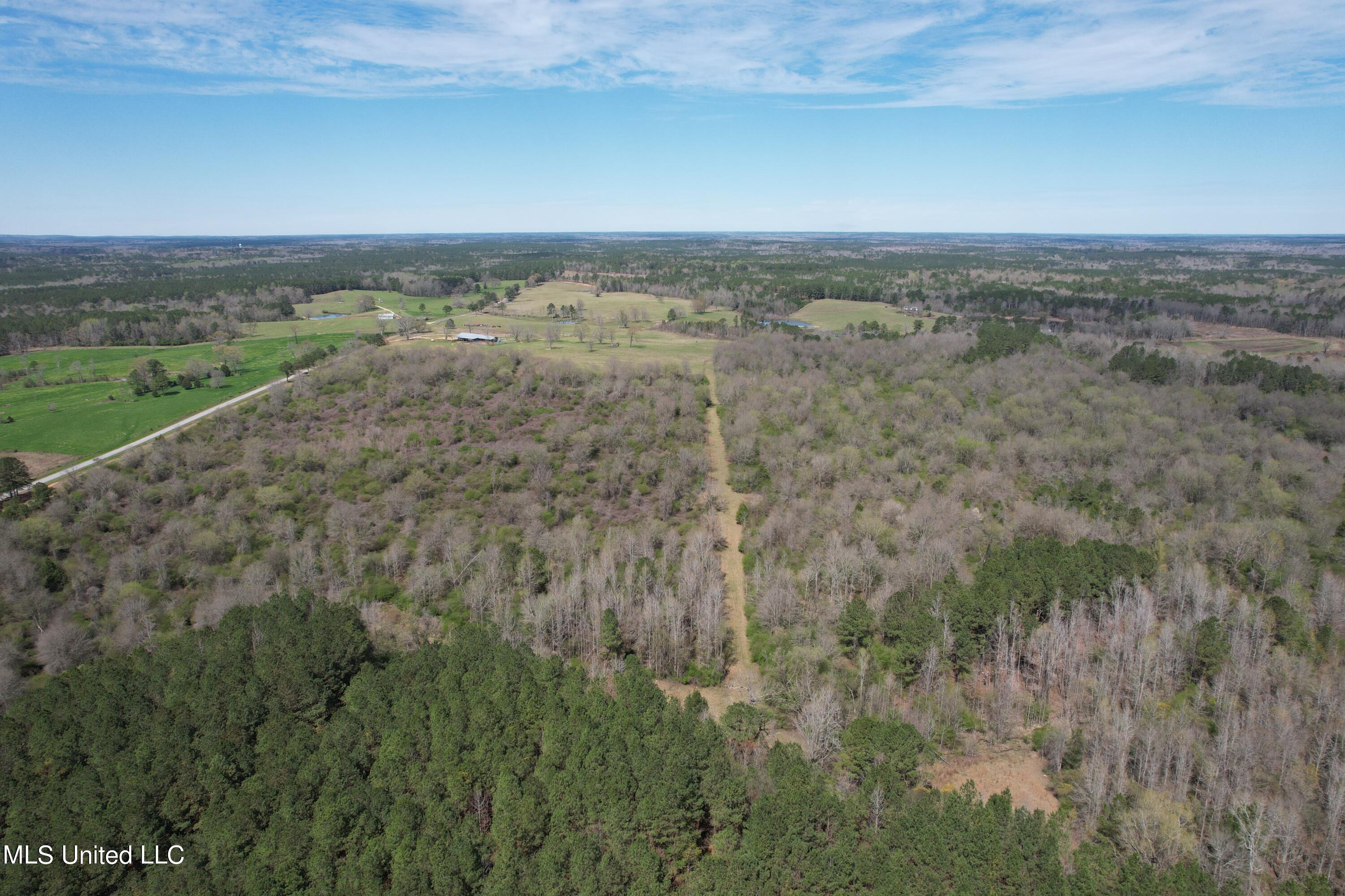 107 Co Road Pachuta, MS 39347 - Photo 54 of 107 DJI_0034