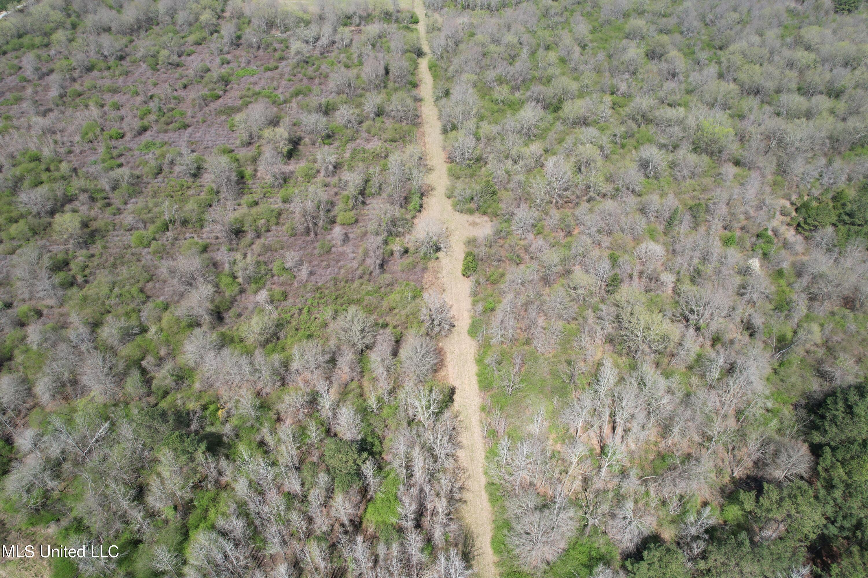 107 Co Road Pachuta, MS 39347 - Photo 55 of 107 DJI_0035
