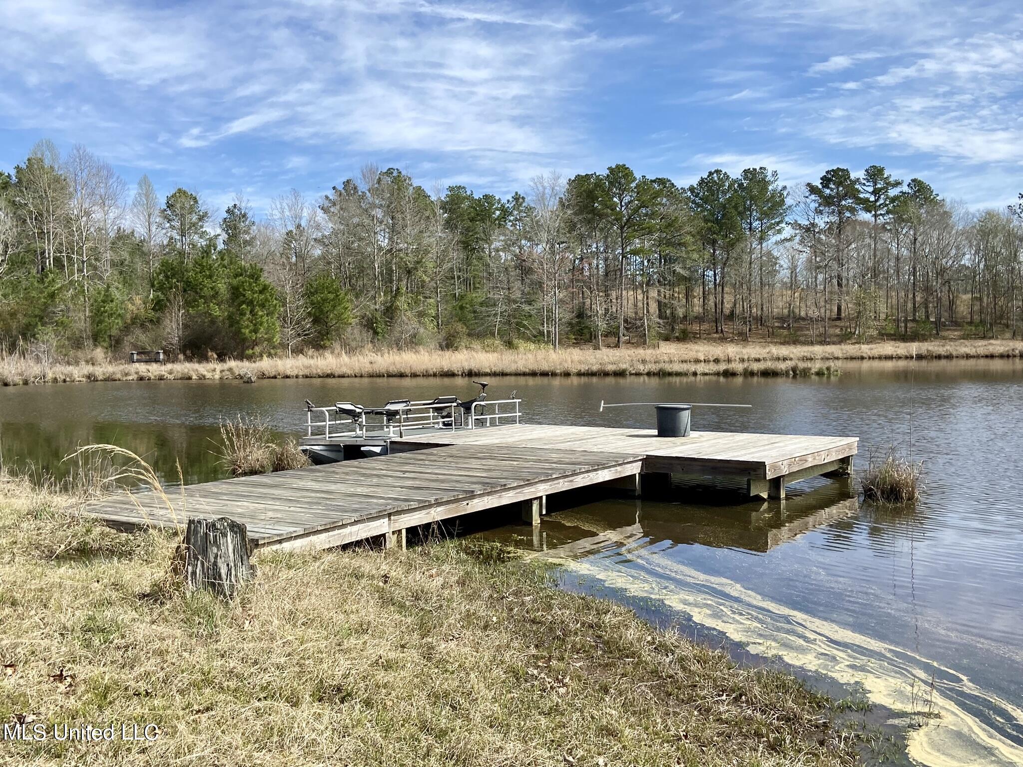 107 Co Road Pachuta, MS 39347 - Photo 77 of 107 IMG_3485