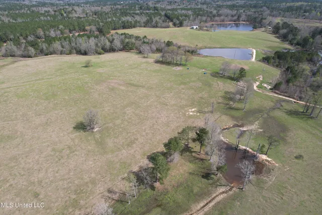 $1,699,000 | 107 Co Road, Pachuta, MS 39347