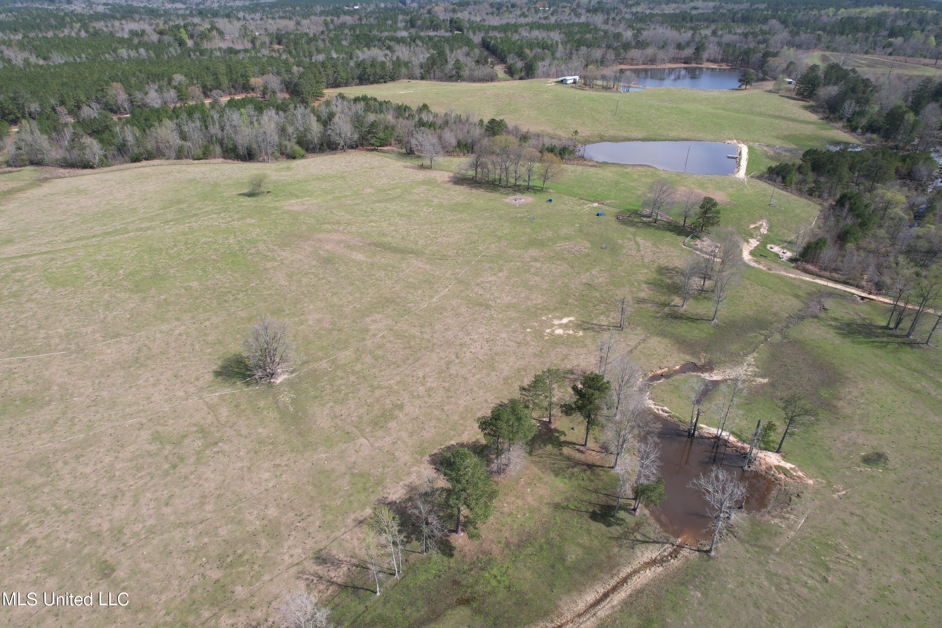 107 Co Road Pachuta, MS 39347 - Photo 8 of 107 DJI_0935