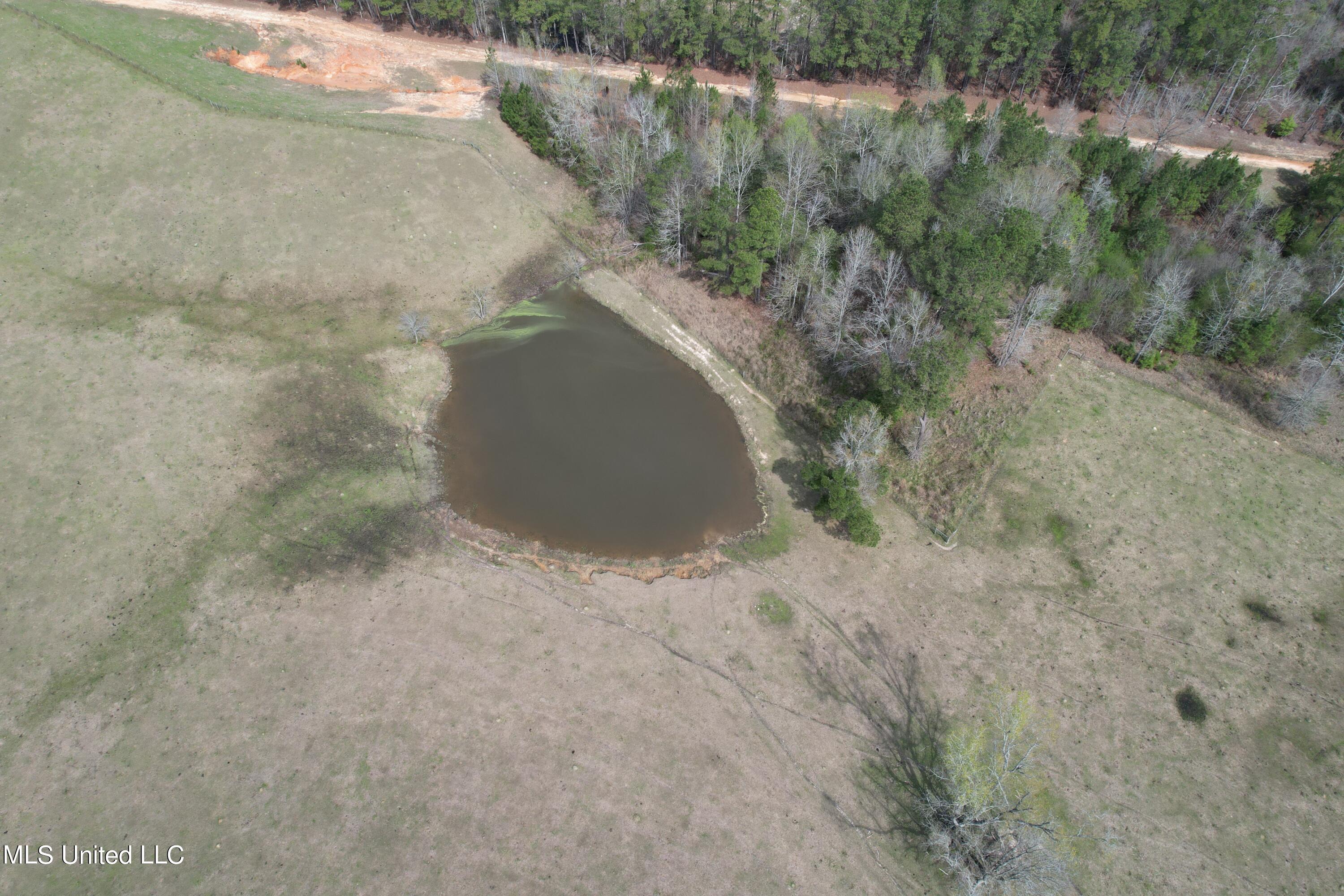107 Co Road Pachuta, MS 39347 - Photo 9 of 107 DJI_0936