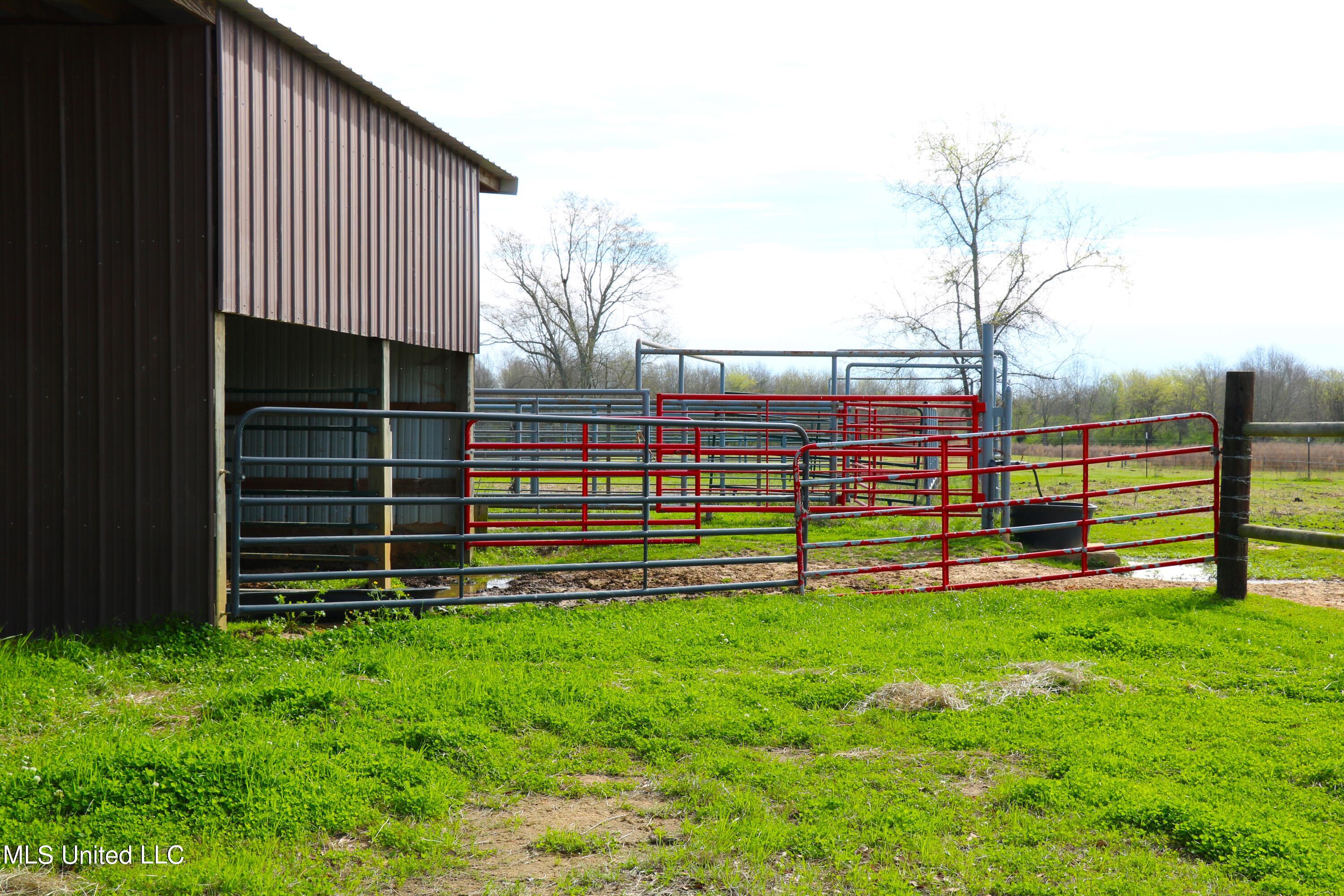 107 Co Road Pachuta, MS 39347 - Photo 99 of 107 IMG_2209