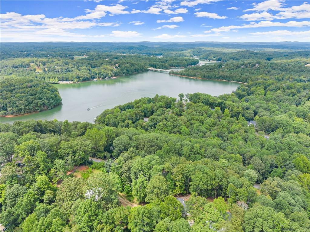 6317 Falcon Lane Gainesville, GA 30506 - Photo 13 of 15 a view of a lake with a city