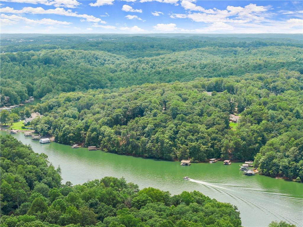 6317 Falcon Lane Gainesville, GA 30506 - Photo 14 of 15 an aerial view of residential houses with outdoor space and trees