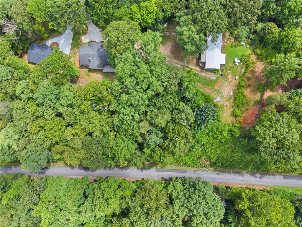 6317 Falcon Lane Gainesville, GA 30506 - Photo 3 of 15 a picture of a tree