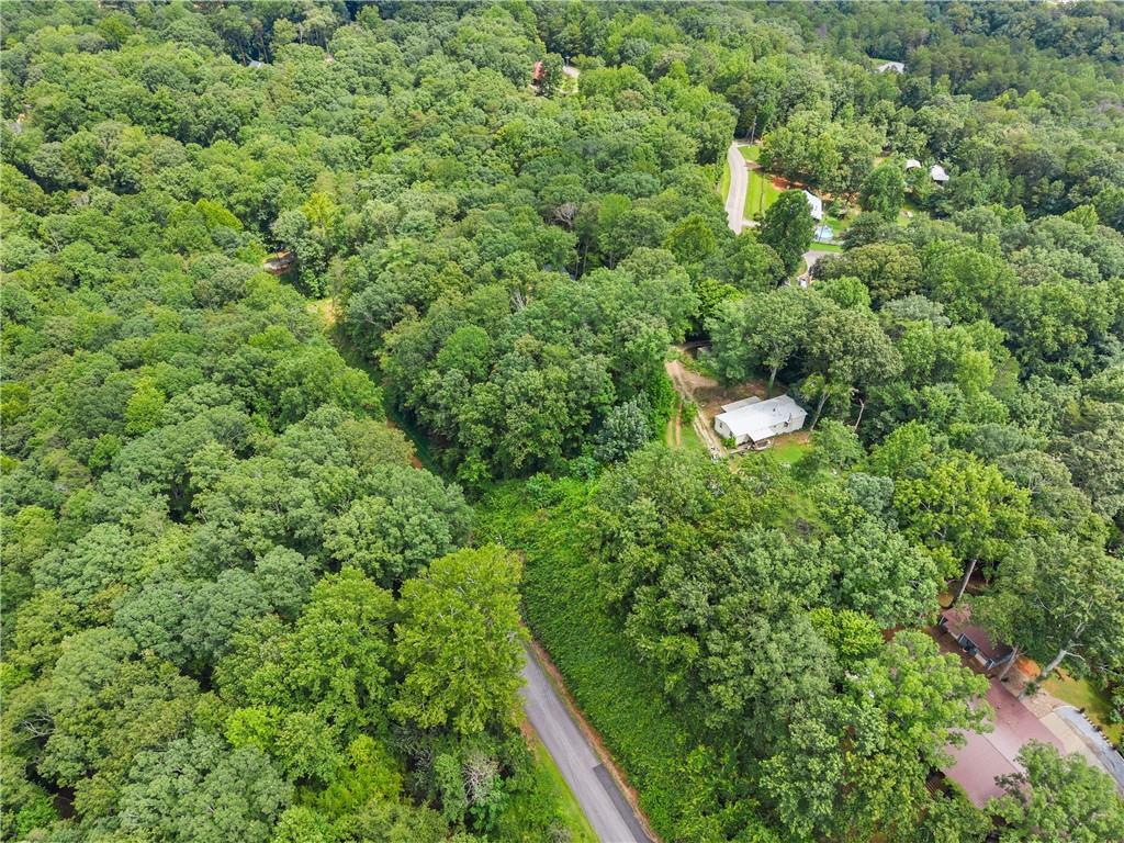 6317 Falcon Lane Gainesville, GA 30506 - Photo 5 of 15