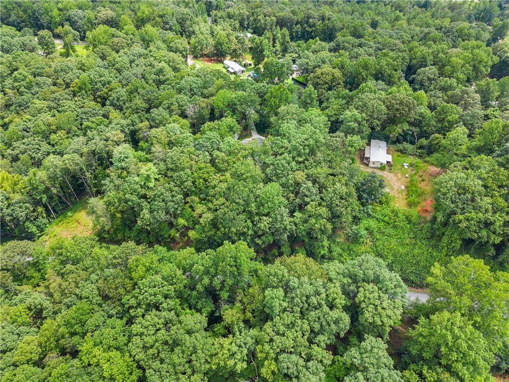 6317 Falcon Lane Gainesville, GA 30506 - Photo 6 of 15 a view of a forest with a tree
