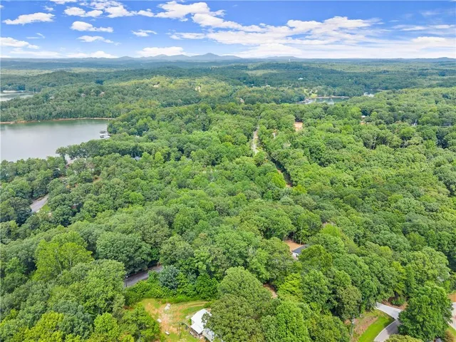 an aerial view of residential houses with outdoor space and trees