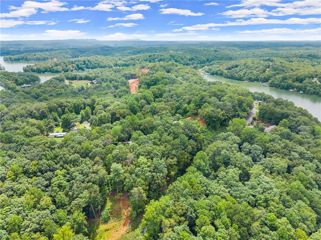 6317 Falcon Lane Gainesville, GA 30506 - Photo 9 of 15 an aerial view of a houses with a yard