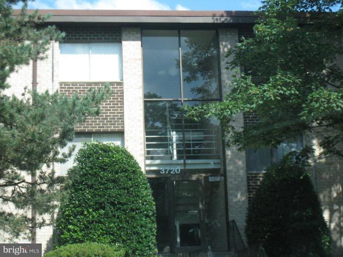 a couple of flower plants in front of building