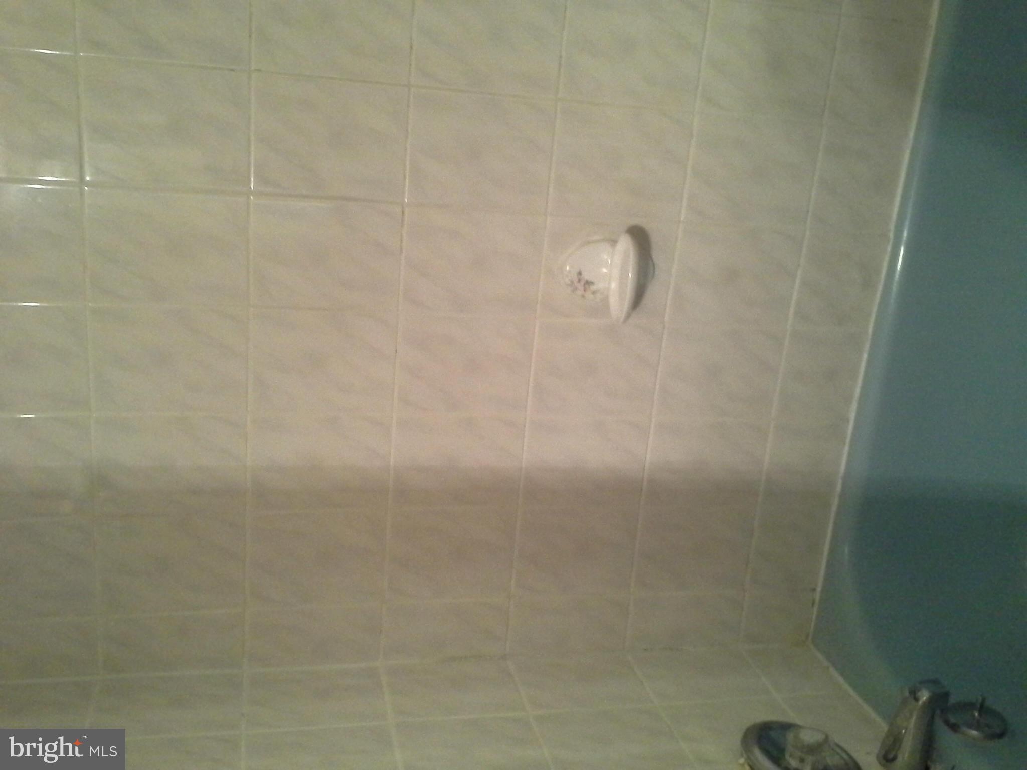 3720 Bel Pre Road, Unit 2 Silver Spring, MD 20906 - Photo 2 of 2 a bathroom with a shower