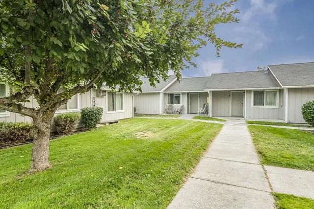 a view of a yard in front of house
