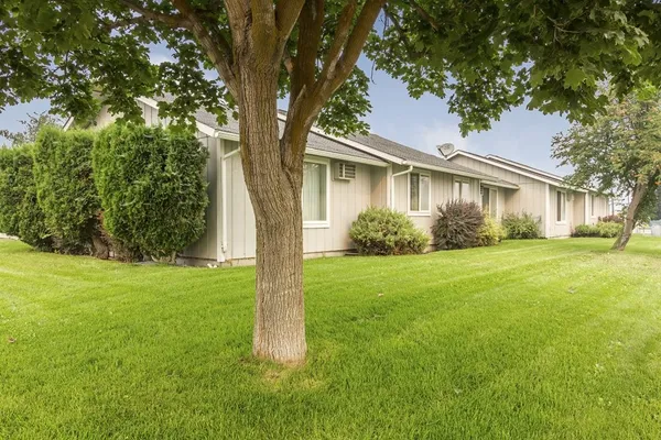 a view of a house with yard and tree s