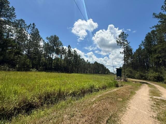 0 Elmer Hamilton Road Moss Point, MS 39562 - Photo 13 of 22 Gallery Image 13