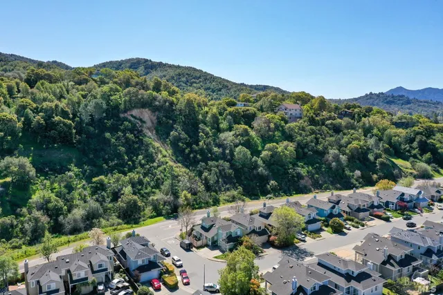 an aerial view of a forest with houses