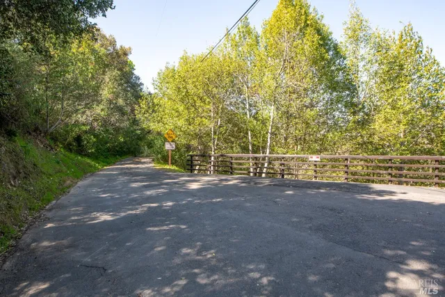 a view of a field with a trees