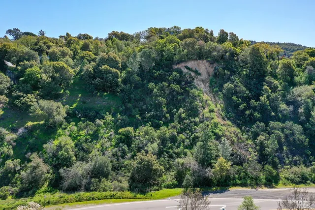 a view of a yard with a tree