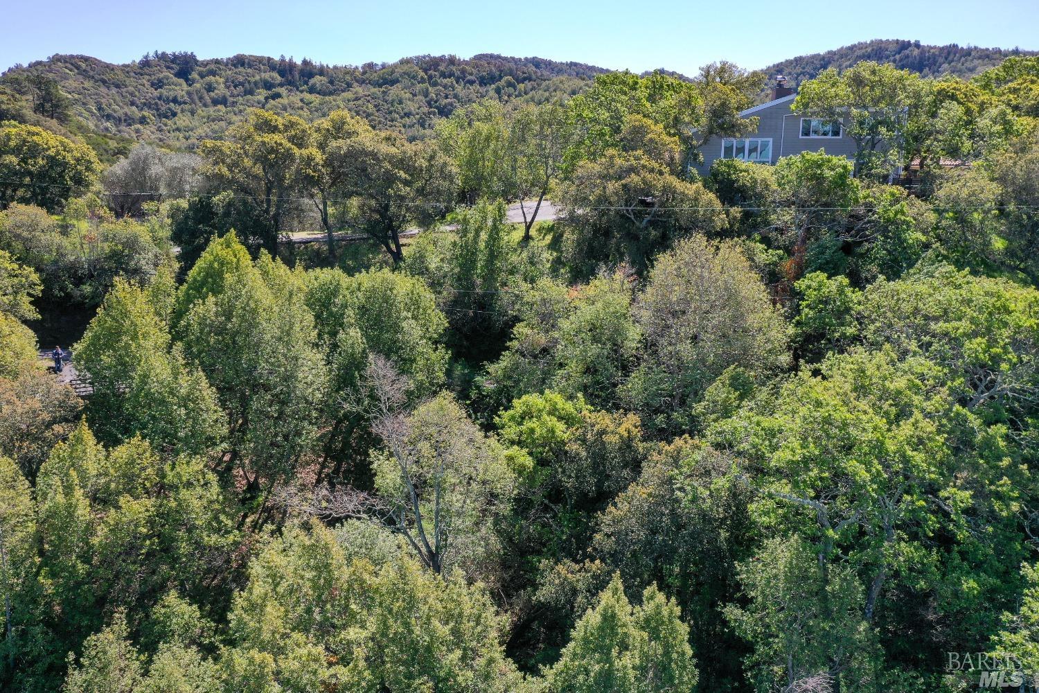 110 Sunny Oaks Drive San Rafael, CA 94903 - Photo 7 of 25 an aerial view of residential house with outdoor space and trees all around