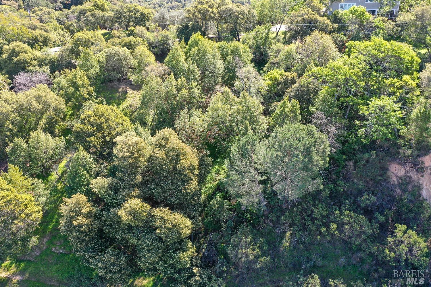 110 Sunny Oaks Drive San Rafael, CA 94903 - Photo 8 of 25 a view of a building