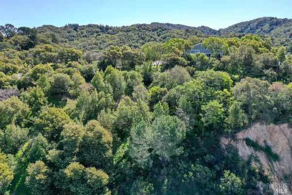 an aerial view of a houses with a lush green hillside