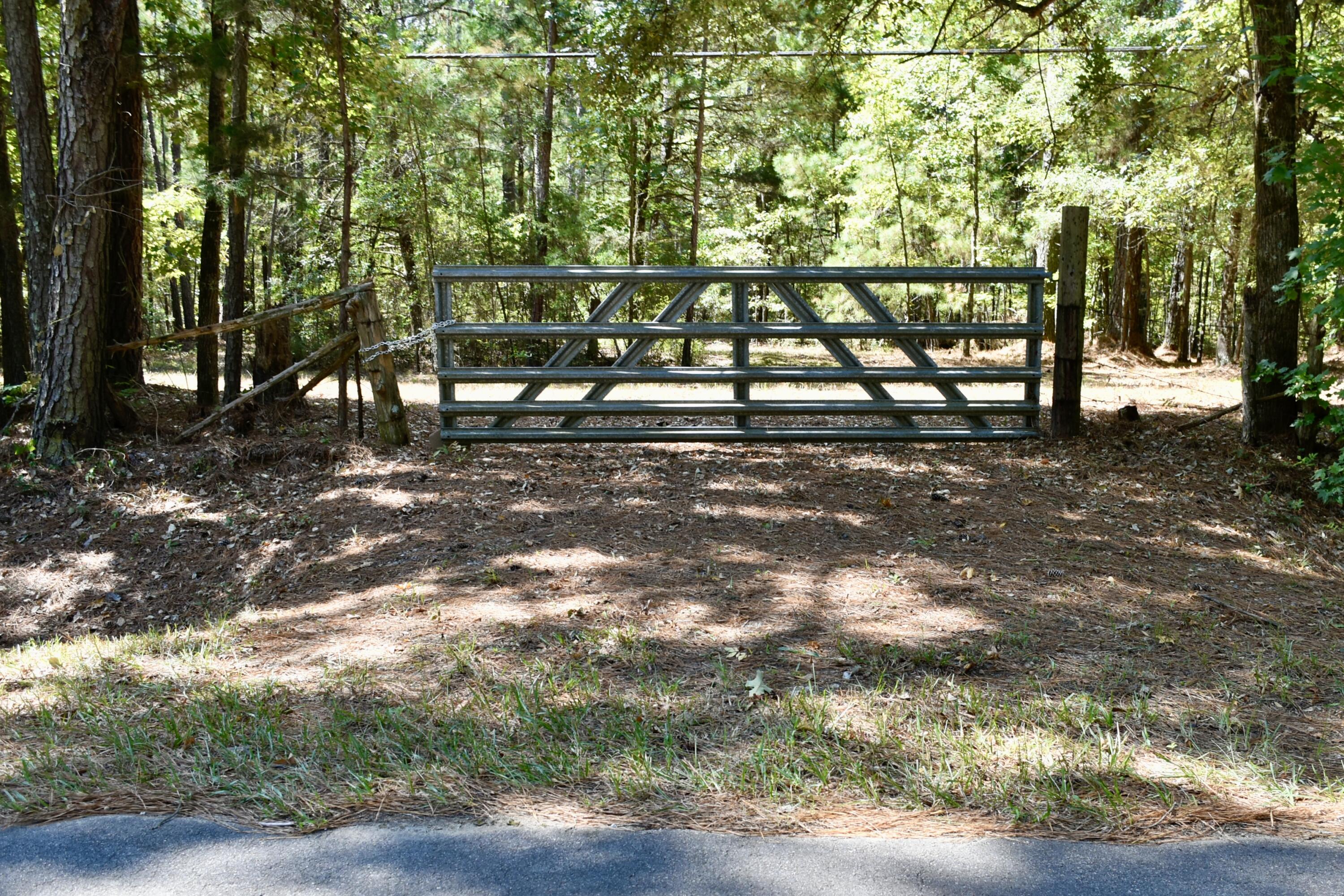 25023 Ray Owens Road Appling, GA 30802 - Photo 1 of 52 _DSC0004
