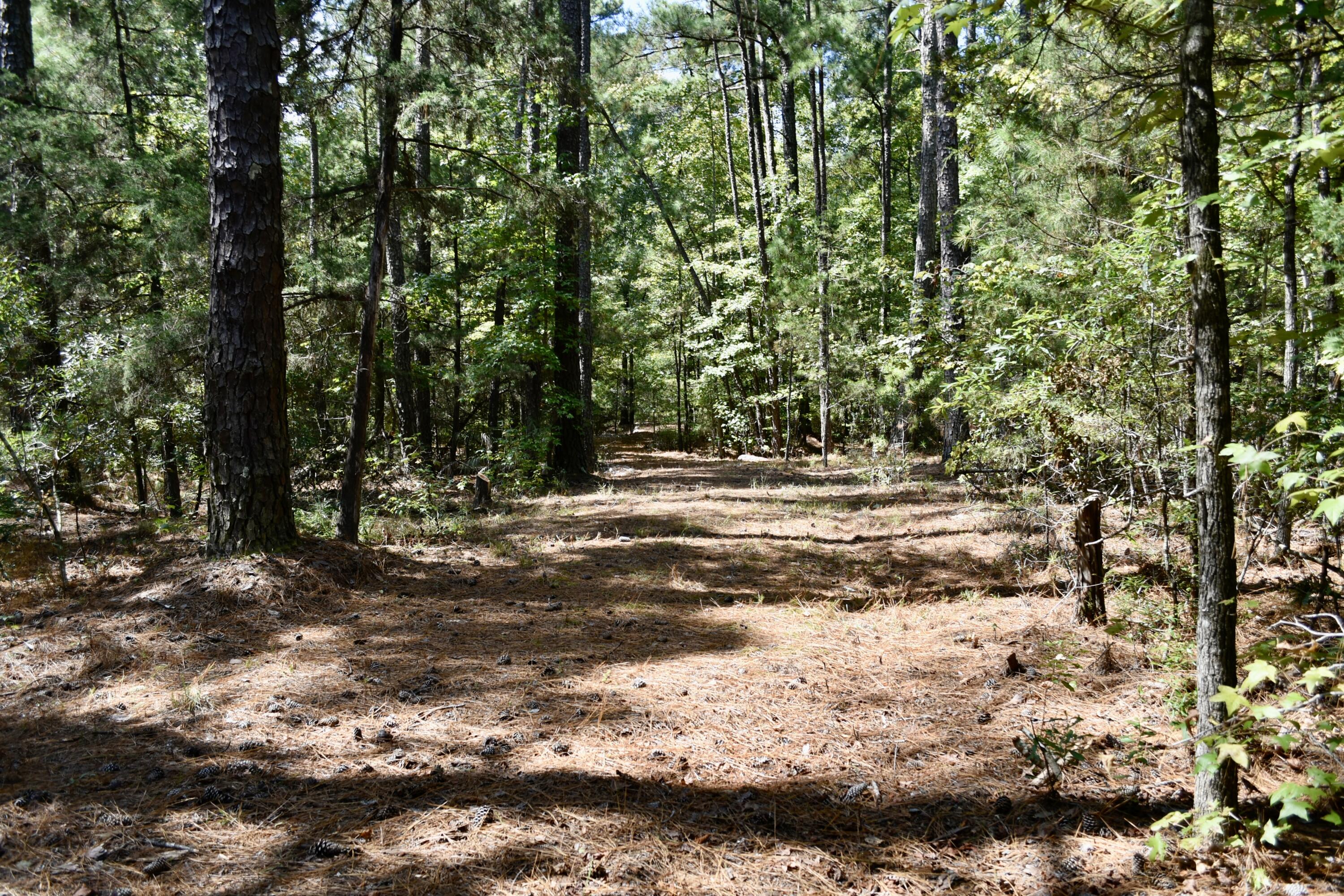 25023 Ray Owens Road Appling, GA 30802 - Photo 3 of 52 _DSC0010