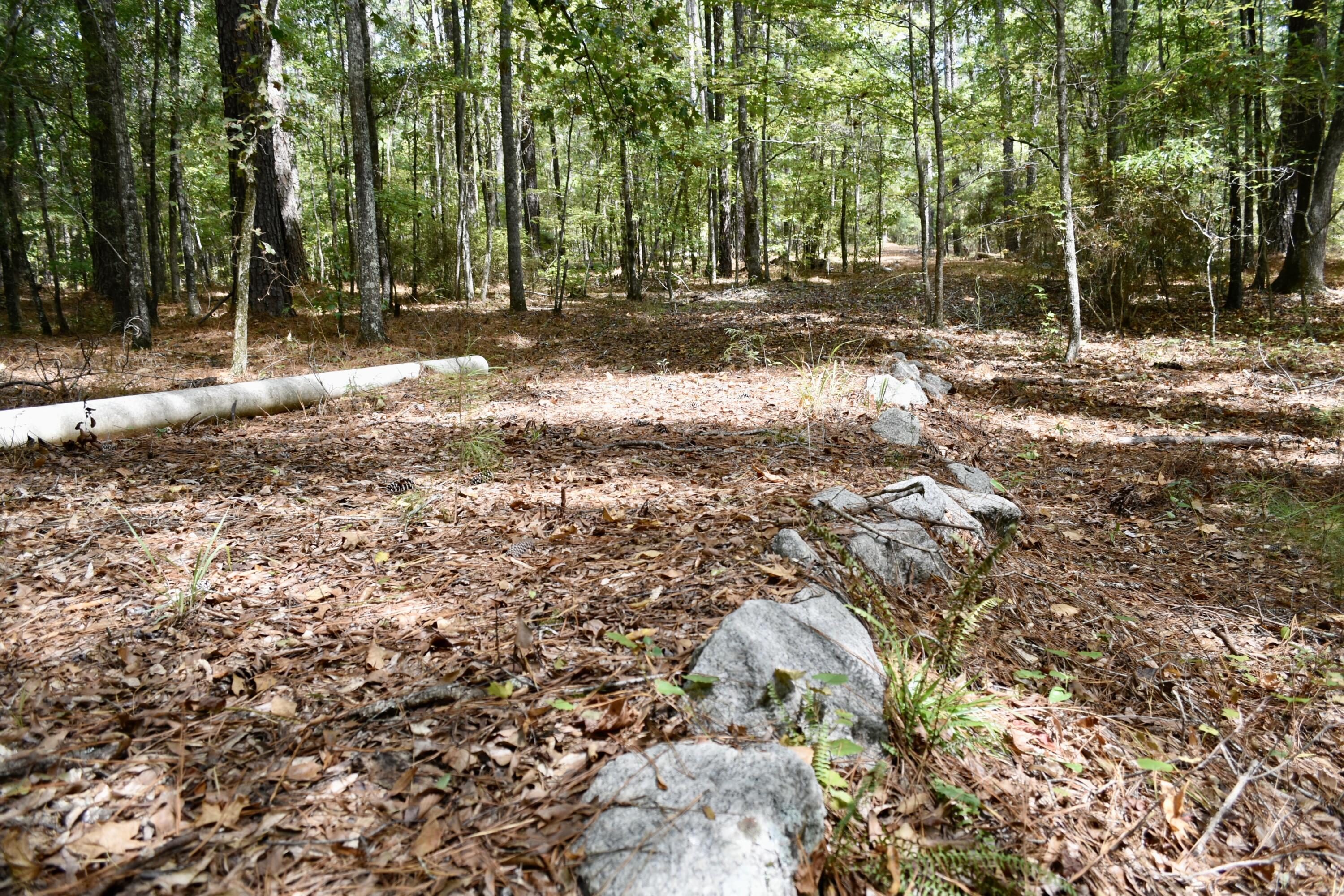 25023 Ray Owens Road Appling, GA 30802 - Photo 46 of 52 _DSC0087