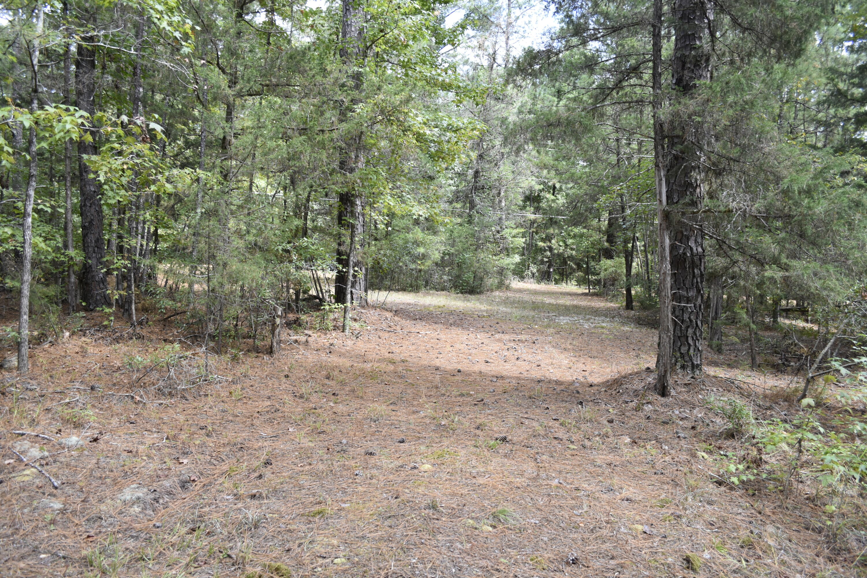 25023 Ray Owens Road Appling, GA 30802 - Photo 47 of 52 _DSC0089