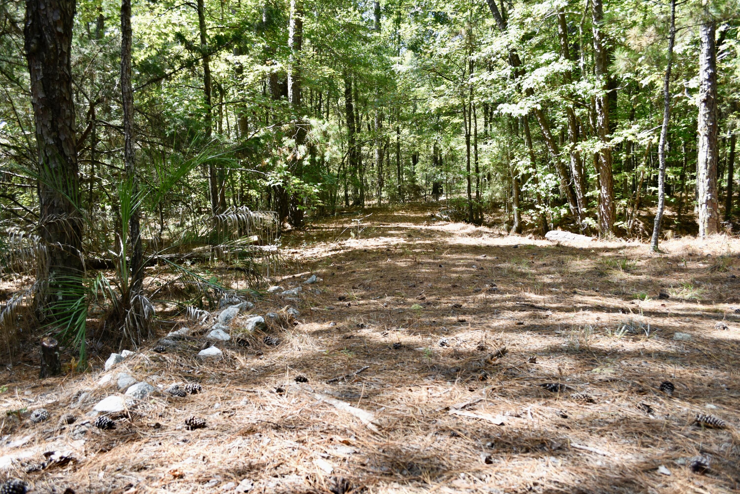 25023 Ray Owens Road Appling, GA 30802 - Photo 5 of 52 _DSC0015