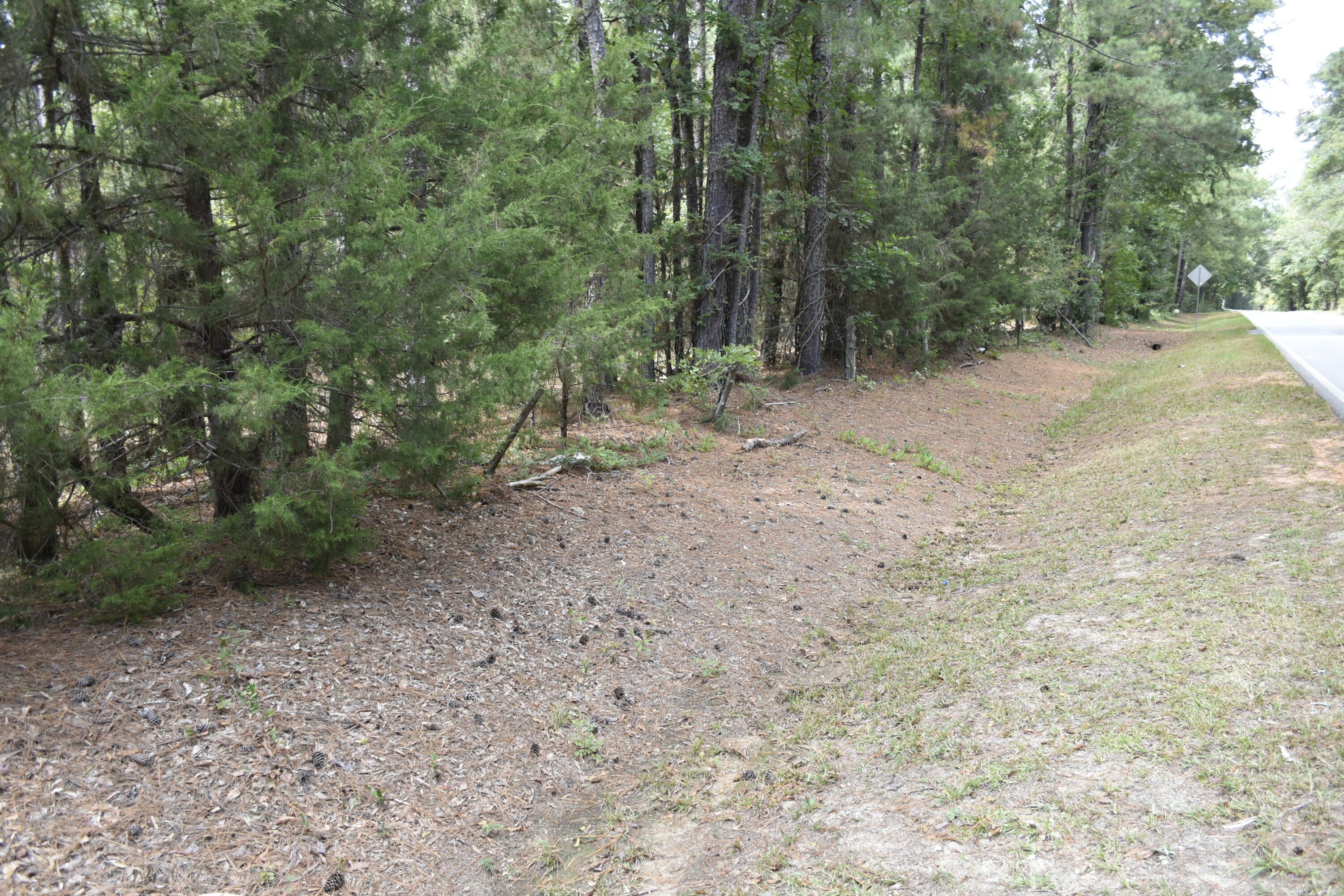 25023 Ray Owens Road Appling, GA 30802 - Photo 51 of 52 _DSC0096