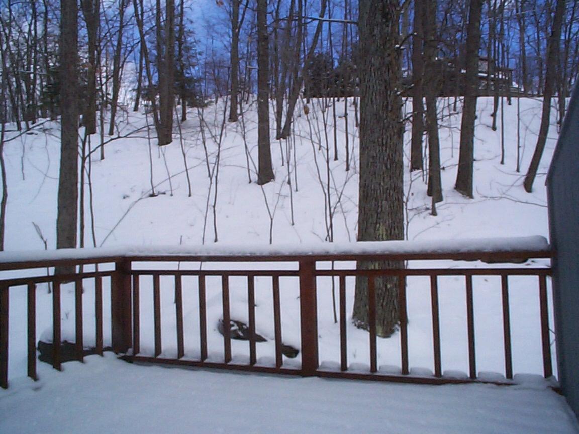 230 High Crest Road Canadensis, PA 18325 - Photo 15 of 20 Lower Level Master Bedroom Deck