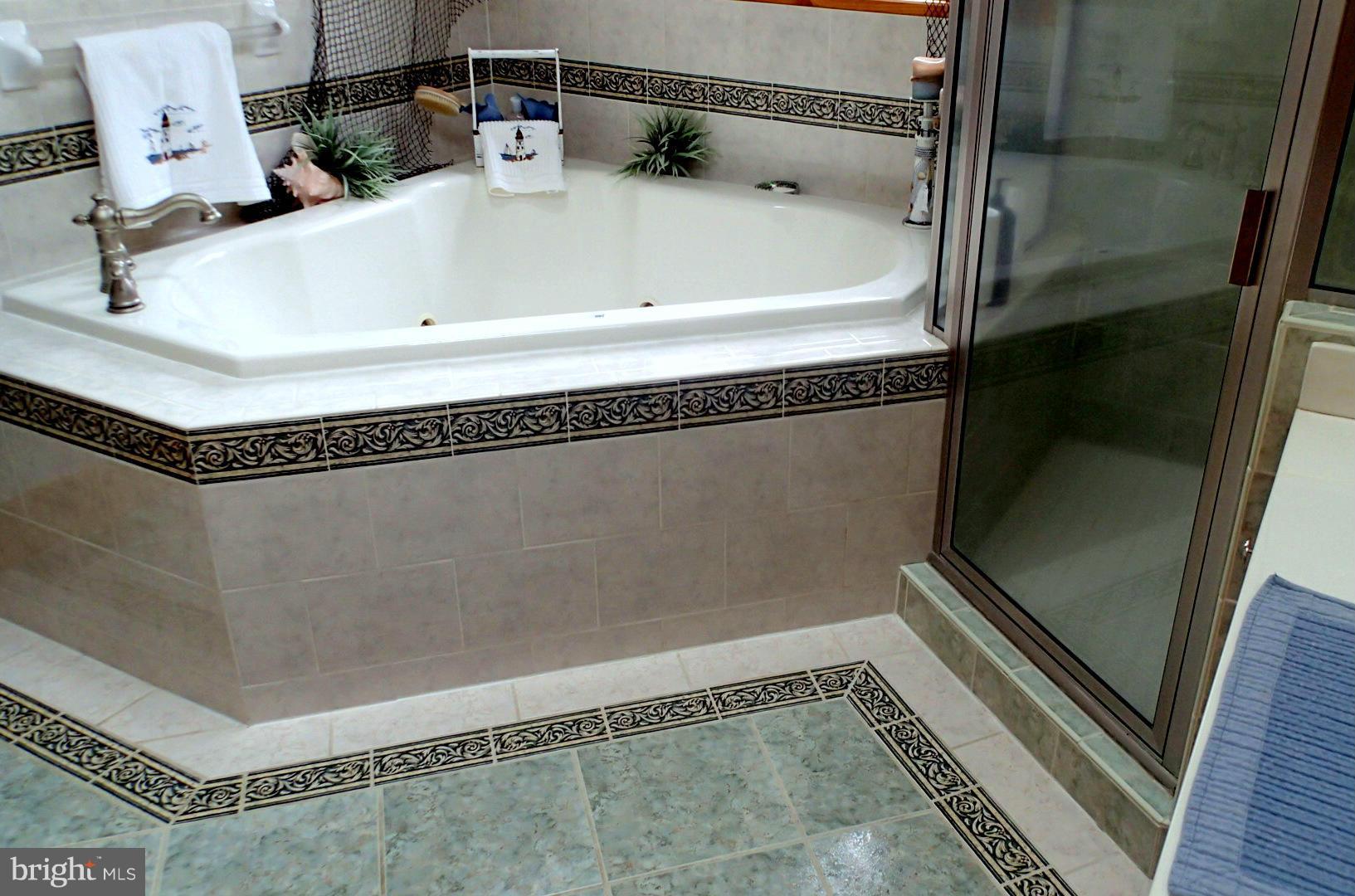 2 Jason Circle Ruther Glen, VA 22546 - Photo 22 of 30 Bath (Master)