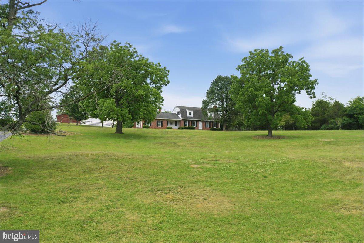 2447 Headquarters Road Edinburg, VA 22824 - Photo 46 of 58