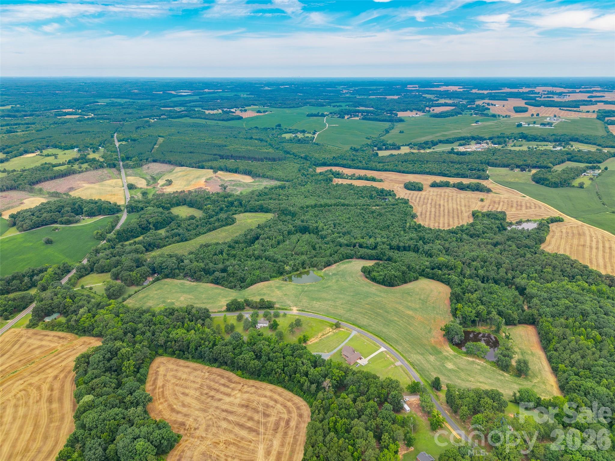 0 John Doster Road Pageland, SC 29728 - Photo 3 of 12