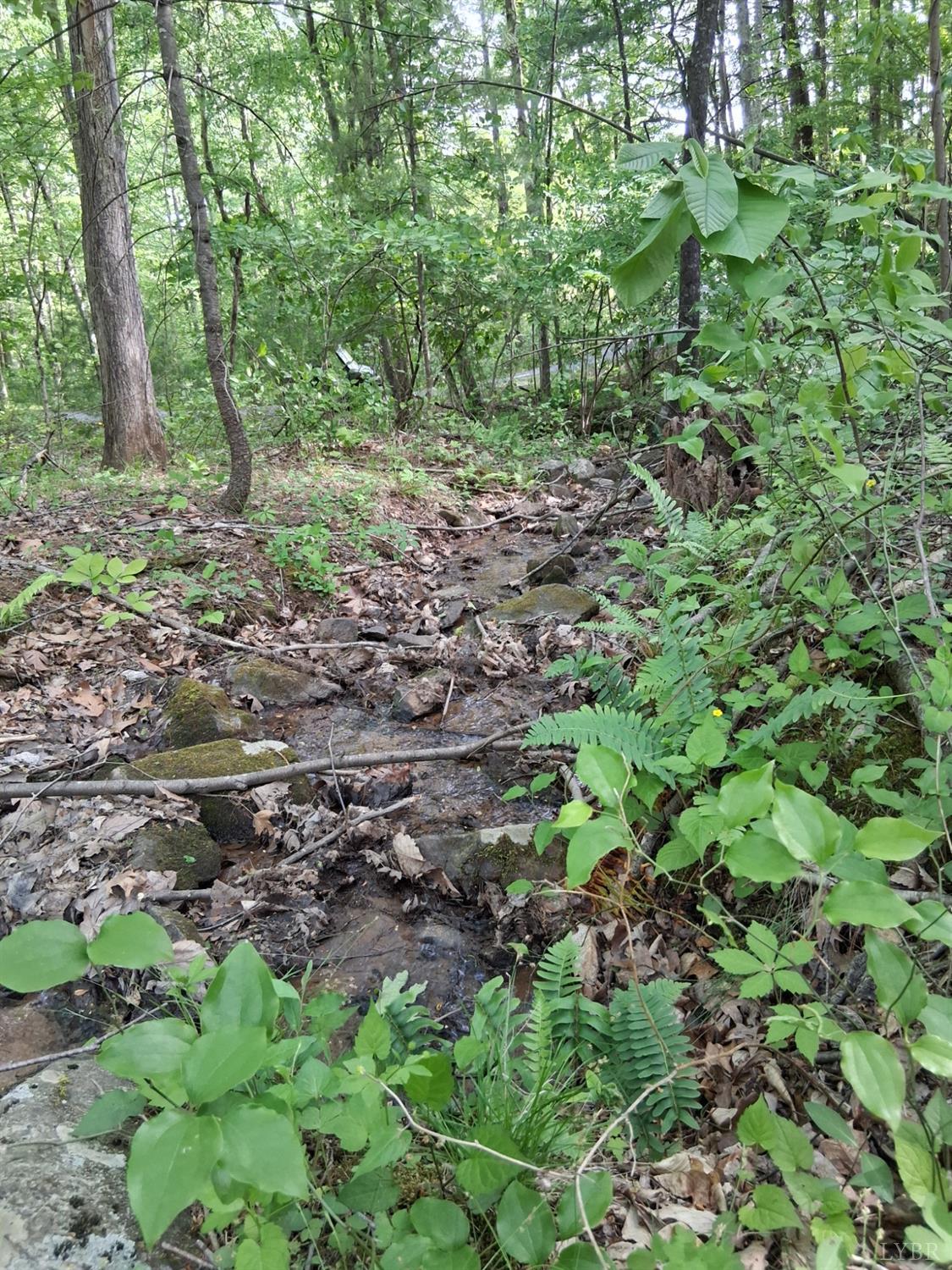 0 Robinson Gap Road Monroe, VA 24574 - Photo 43 of 44 Gallery Image 43
