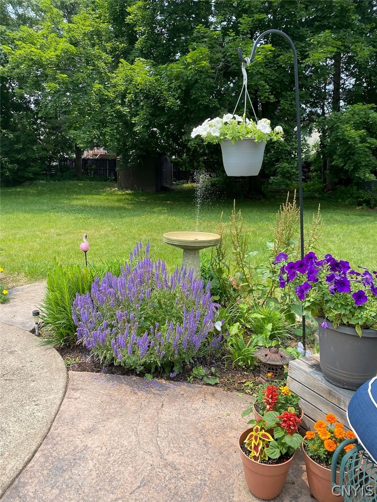 206 Haywood Road Geddes, NY 13219 - Photo 3 of 49