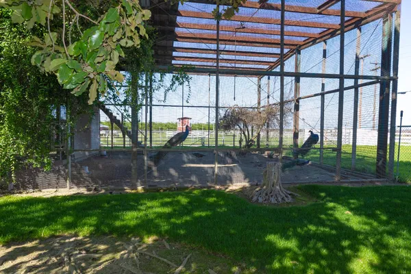 $1,850,000 | 14901 South Highland Avenue, Selma, CA 93662