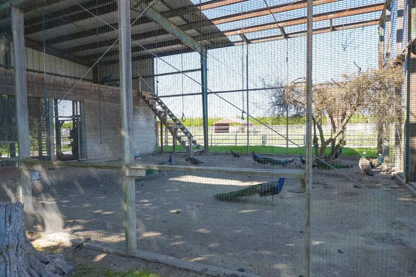 $1,850,000 | 14901 South Highland Avenue, Selma, CA 93662