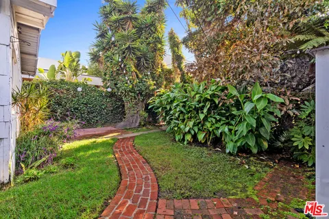 a view of a yard with plants