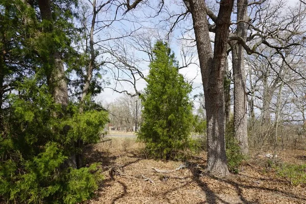 a view of a yard with plants and trees
