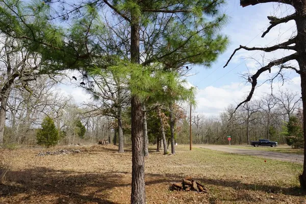 a view of a yard with trees