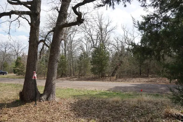 a view of outdoor space with trees